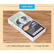 EarHook earphones BT-1