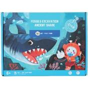 Fossils Excavation Kit - Shark