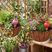 Self Watering Terracotta Spikes 8 Pack | EXTG