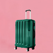  24" Travel Luggage Lightweight Check In Cabin Suitcase TSA Lock Green