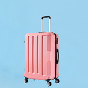  24" Travel Luggage Lightweight Check In Cabin Suitcase TSA Rose Gold