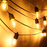 Festoon String Light - 20m