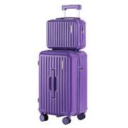 2pcs Trunk Luggage Suitcase Travel Carry On TSA Lock 12" 20" Purple