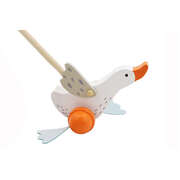 Wooden goose push a long