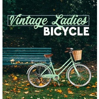 Vintage Retro Ladies Bike 6 Speed Beach Cruiser  Teal 56cm Frame