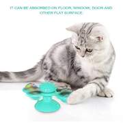 Cat Massage Rotatable Spinner Catnip Blue 