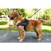 Dog Harness Vest Chest Walk Out M BLACK