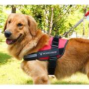 Dog Harness Vest Chest Walk Out M RED 