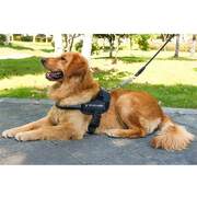 Adjustable Dog Harness Vest XL BLACk
