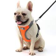 Adjustable Dog Harness Vest Orange M