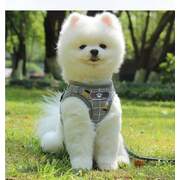 Puppy Chest Strap L YELLOW