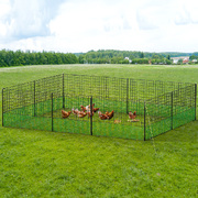 I.Pet Poultry Chicken Fence Netting Electric Wire Ducks Goose Coop 25Mx125Cm