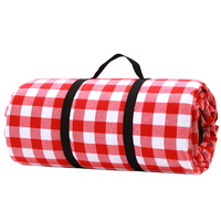 Picnic Blanket with Carry Bag