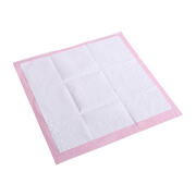 Pet Training Pads 100Pcs