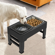 Adjustable Pet Feeder: Perfect for Your Pet's Needs