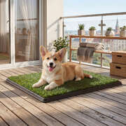 Dog Potty Tray Grass Mat Washable Indoor | EXTG