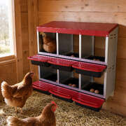 6 Hole Roll Away Chicken Nesting Box | EXTG