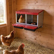 Chicken Nesting Box 2 Hole Roll-Away Egg | EXTG
