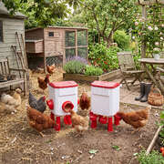 Chicken Feeder Waterer Set 12kg 11L Gravity | EXTG
