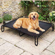 Elevated Dog Bed Mesh Cooling 120x82x20cm