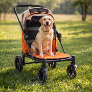 Dog Stroller Foldable Pet Pram 16x26cm