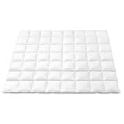  800GSM Goose Down Feather Quilt Winter Blanket Duvet Comforter Double