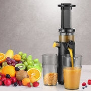 Slow Juicer Cold Press Fruit Juice Extractor 130W Black