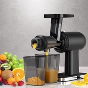 Cold Press Slow Juicer Fruit Juice Extractor 160W Black