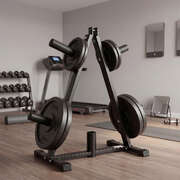 Weight Plate Storage Rack 250KG Home Gym | EXTG