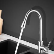 Kitchen Mixer Tap Pull Out 2 Mode Sink Faucet Basin Laundry Chrome