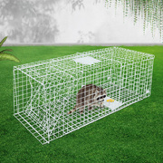 Animal Trap Cage Possum 150X50Cm