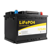 125Ah 12V Lithium Battery LiFePO4 Iron