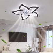 69 cm Low Ceiling Light Fan 6 Wind Speed