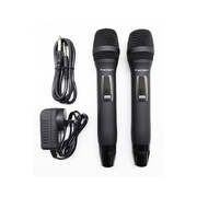 Twin Channel Professional Wireless Microphone System Dual Xlr Out
