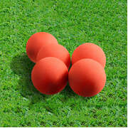 Cricket Ball Pitcher