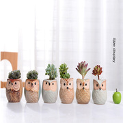 6PCS Mini Owl Plant Pots Ceramic Succulent Cactus Bonsai Flower Pots