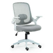Fortia Ergonomic Office Desk Chair, Coolmesh Fabric, Grey Mesh/White Frame