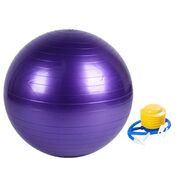 Yoga Ball 75Cm (Purple) Ft-Yb-107-Sd