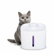 Pet Water Fountain Dispenser LED USB 3L