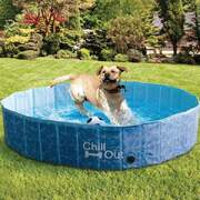 Small Plastic Dog Swimming Pool - Fun Splash Bath