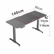 Gaming Standing Desk Home Office Lift Electric Height Adjustable Sit Motorized