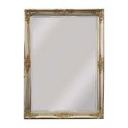 French Provincial Ornate Mirror - Champagne - Small 80cm x 110cm