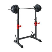 Squat Barbell Pair Rack Bench Home Gym Weight Fitness Lifting Stand