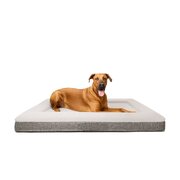 2x"Ortho" Orthopedic Dog Bed - XL