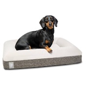 2x"Ortho" Orthopedic Dog Bed - Small