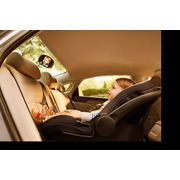 Dual Sight Mirror