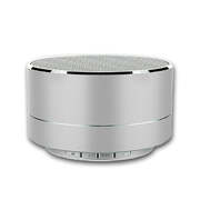 Portable Bluetooth Speaker (Silver)