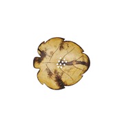 Coco Soap Tray-Autumn Leaf