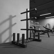 Olympic Weight Tree Bar Rack Holder Storage