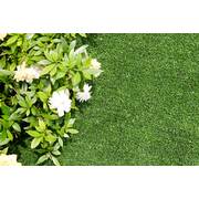 Synthetic Grass 20 sqm Roll - 8mm